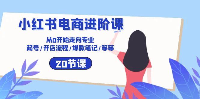 小红书电商进阶课：从0开始走向专业 起号/开店流程/爆款笔记/等等(20节-情久项目网