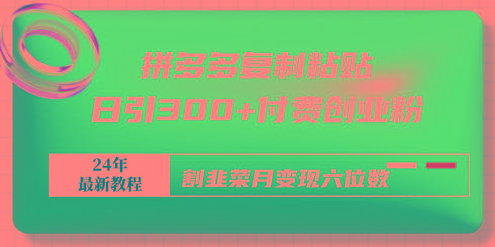 拼多多复制粘贴日引300+付费创业粉，割韭菜月变现六位数最新教程！-情久项目网