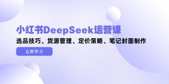 小红书DeepSeek运营课，选品技巧、货源管理、定价策略、笔记封面制作-情久项目网