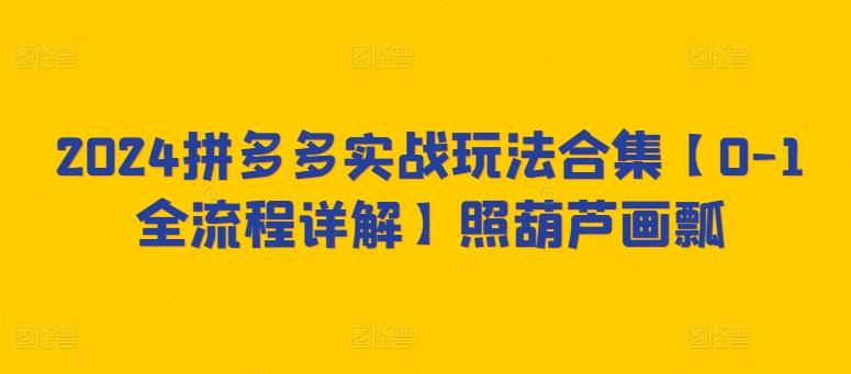 2024拼多多实战玩法合集【0-1全流程详解】照葫芦画瓢-情久项目网