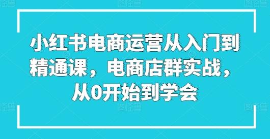 小红书电商运营从入门到精通课，电商店群实战，从0开始到学会-情久项目网