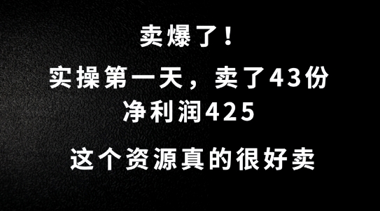这个资源,需求很大,实操第一天卖了43份,净利润425【揭秘】