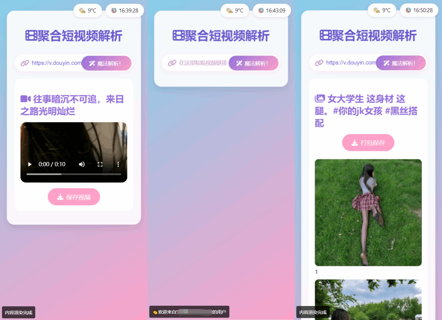 全新二次元聚合短视频解析去水印系统源码 自适应双端-情久项目网