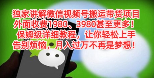 独家讲解微信视频号搬运带货项目，保姆级详细教程-情久项目网