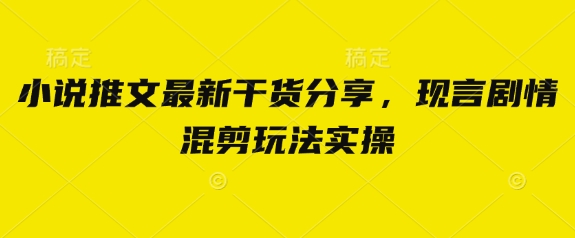 小说推文最新干货分享，现言剧情混剪玩法实操-情久项目网