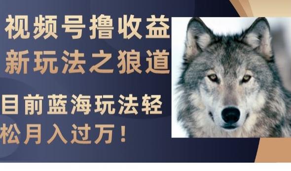 视频号撸收益新玩法之狼道，目前蓝海玩法，轻松月入过万【揭秘】-情久项目网