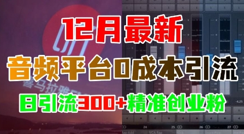 12月最新：音频平台0成本引流，日引流300+精准创业粉-情久项目网