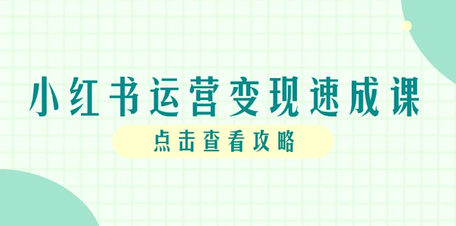 小红书运营变现速成课，账号搭建到暴力起号，个人IP全流程指南-情久项目网