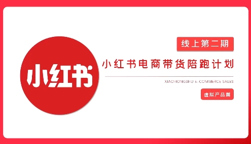 2025小红书虚拟电商实战课，从0到1打造无货源店铺，AI+爆款笔记轻松变现-情久项目网