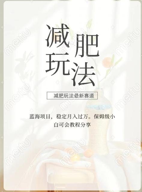 减肥流量主新玩法，轻松月入1W，可矩阵操作收入翻倍-情久项目网