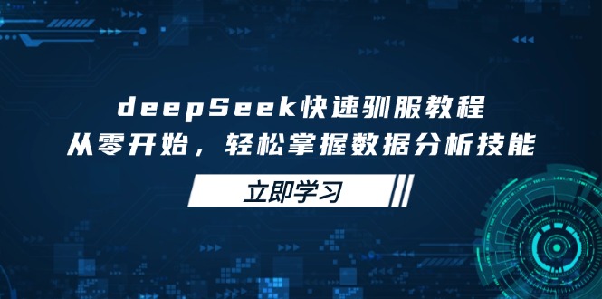 deepSeek快速驯服教程，从零开始，轻松掌握数据分析技能-情久项目网