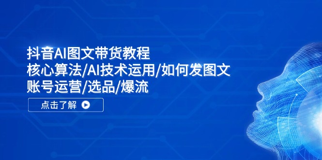 抖音AI图文带货教程：核心算法/AI技术运用/如何发图文/账号运营/选品/爆流-情久项目网