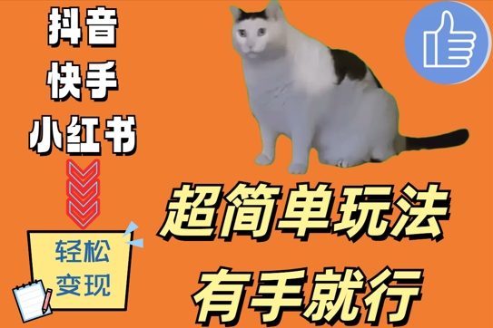 超简单玩法，有手就行，靠猫咪视频日入500+【揭秘】-情久项目网