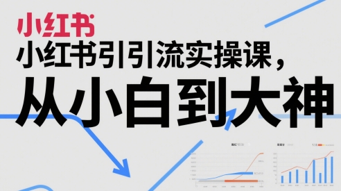 小红书引流实操课，从小白到大神-情久项目网