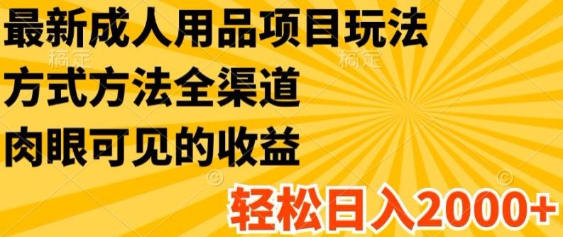 最新成人用品项目玩法，方式方法全渠道，轻松日入2K+【揭秘】-情久项目网