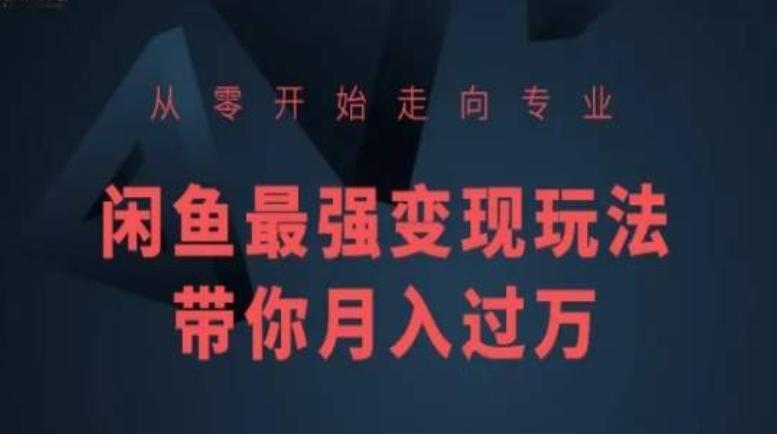 从零开始走向专业，闲鱼最强变现玩法带你月入过万-情久项目网