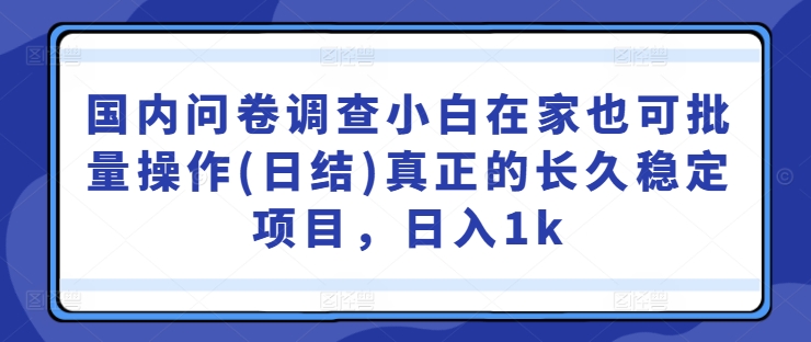 国内问卷调查小白在家也可批量操作(日结)真正的长久稳定项目，日入1k【揭秘】-情久项目网
