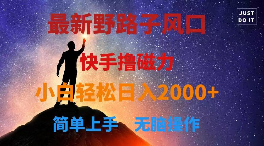 最新风口！快手撸磁力，野路子，小白无脑操作日入2000+-情久项目网