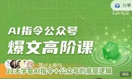 Ai指令公众号高阶课，学会ai指令+公众号的底层逻辑-情久项目网