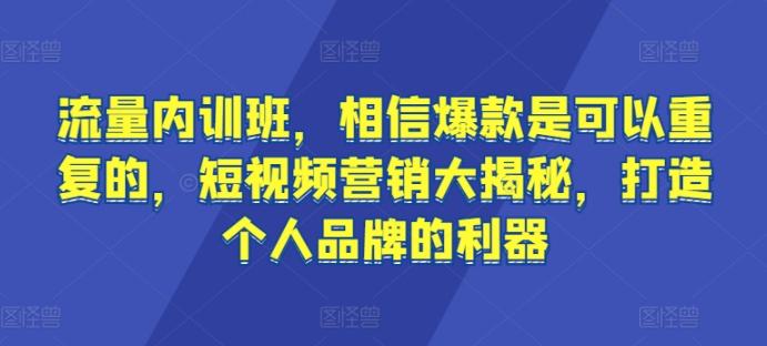 流量内训班，相信爆款是可以重复的，短视频营销大揭秘，打造个人品牌的利器-情久项目网