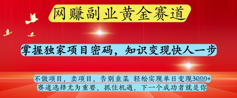 网创副业黄全赛道，掌握独家项目密码，知识变现快人一步，告别韭菜轻松实现单日变现1k+【揭秘】-情久项目网