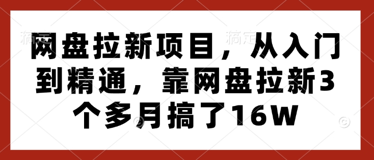 网盘拉新项目，从入门到精通，靠网盘拉新3个多月搞了16W-情久项目网