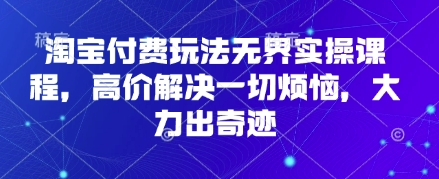 淘宝付费玩法无界实操课程，高价解决一切烦恼，大力出奇迹-情久项目网