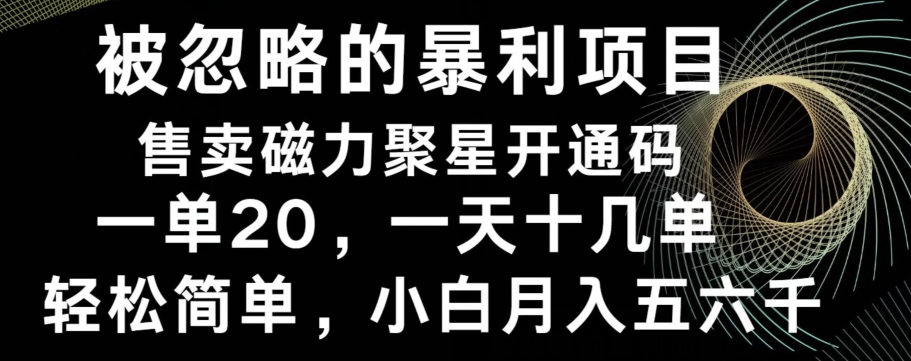 被忽略的暴利项目！售卖磁力聚星开通码，一单20，一天十几单，轻松月入五六千-情久项目网