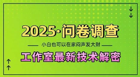 2025问卷调查最新工作室技术解密：一个人在家也可以闷声发大财，小白一天2张，可矩阵放大【揭秘】-情久项目网