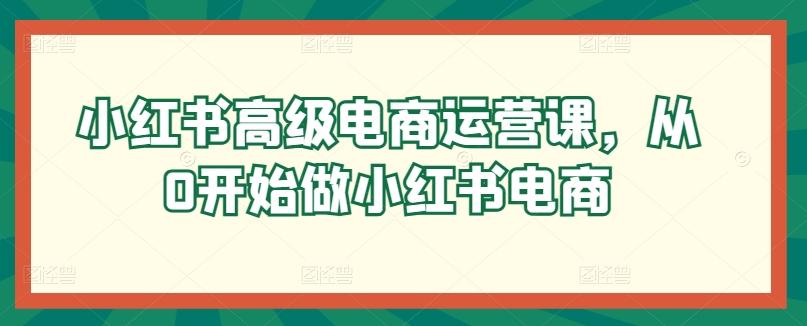 小红书高级电商运营课,从0开始做小红书电商