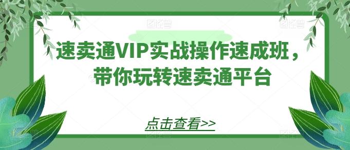 速卖通VIP实战操作速成班，带你玩转速卖通平台-情久项目网