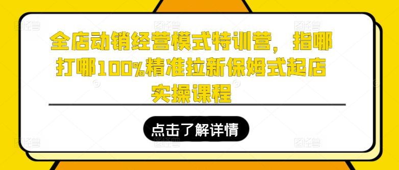 全店动销经营模式特训营，指哪打哪100%精准拉新保姆式起店实操课程-情久项目网