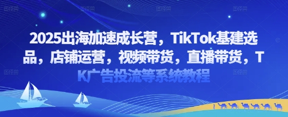 2025出海加速成长营，TikTok基建选品，店铺运营，视频带货，直播带货，TK广告投流等系统教程-情久项目网