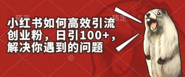 小红书如何高效引流创业粉，日引100+，解决你遇到的问题【揭秘】-情久项目网