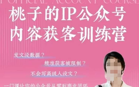 桃子IP公众号内容获客训练营(第3期)，一门让你公众号从0到商业闭环的课程-情久项目网