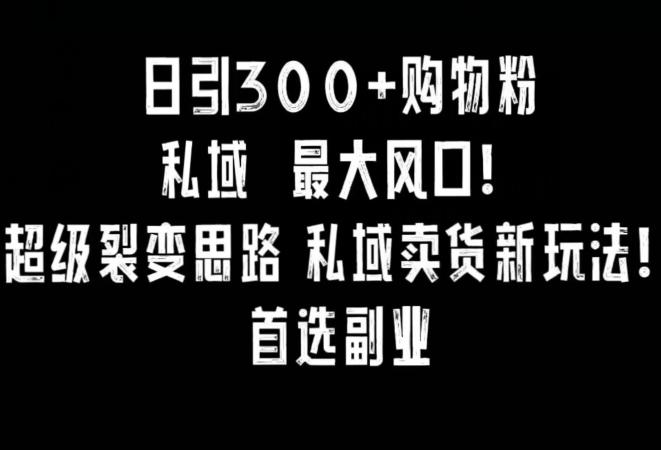 日引300+购物粉，超级裂变思路，私域卖货新玩法，小红书首选副业【揭秘】-情久项目网
