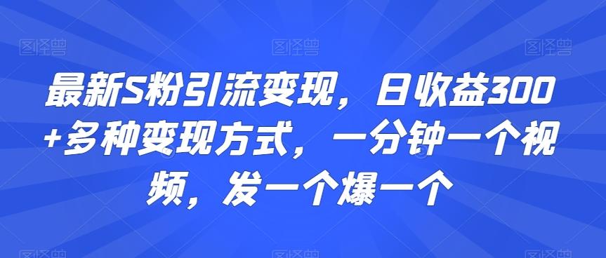 最新S粉引流变现，日收益300+多种变现方式，一分钟一个视频，发一个爆一个【揭秘】-情久项目网