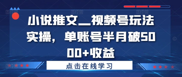 小说推文—视频号玩法实操，单账号半月破5000+收益-情久项目网