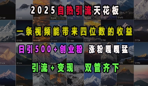 2025自热引流天花板，一条视频能带来四位数的收益，引流+变现双管齐下，日引500+创业粉，涨粉嘎嘎猛-情久项目网