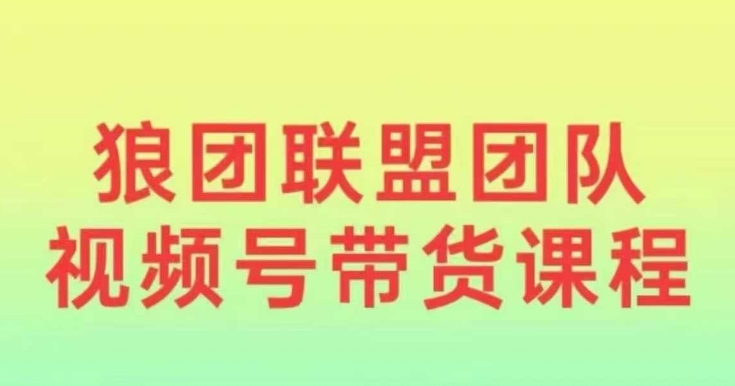 狼团联盟2024视频号带货，0基础小白快速入局视频号-情久项目网
