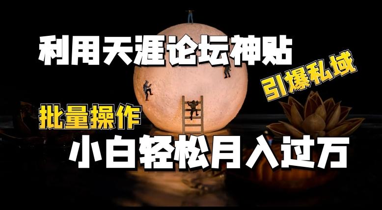利用天涯论坛神贴，引爆私域，批量操作，小白轻松月入过w【揭秘】-情久项目网