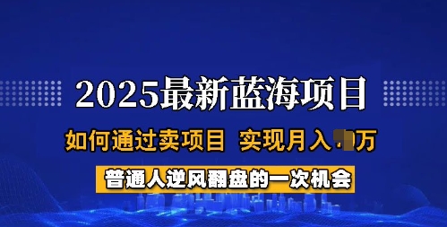 2025蓝海项目，普通人如何通过卖项目，实现月入过W，全过程【揭秘】-情久项目网