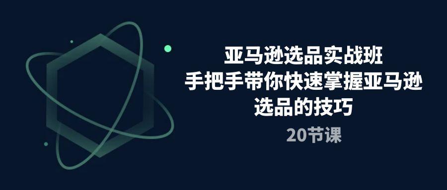 亚马逊选品实战班，手把手带你快速掌握亚马逊选品的技巧(20节课-情久项目网