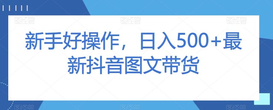 新手好操作，日入500+最新抖音图文带货【揭秘】-情久项目网