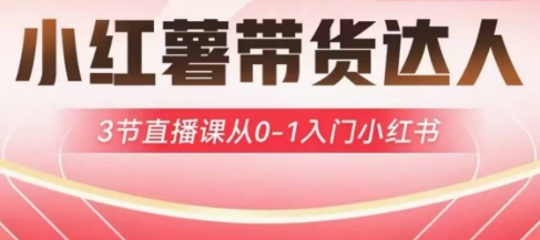 小红薯达人带货启航计划，3节直播课从0-1入门小红书-情久项目网
