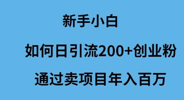 (9668期)新手小白如何日引流200+创业粉通过卖项目年入百万-情久项目网