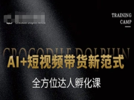 AI+短视频带货新范式，全方位达人孵化课-情久项目网
