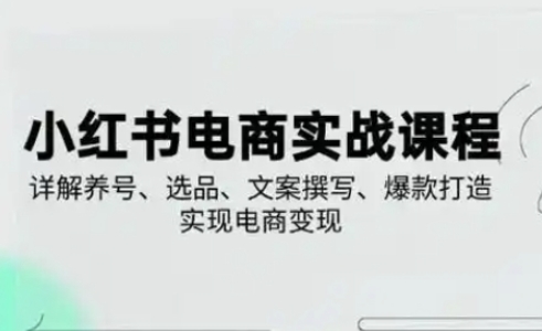 小红书从0-1实操课(2023-2025)，详解养号、选品、文案撰写、爆款打造实现电商变现-情久项目网