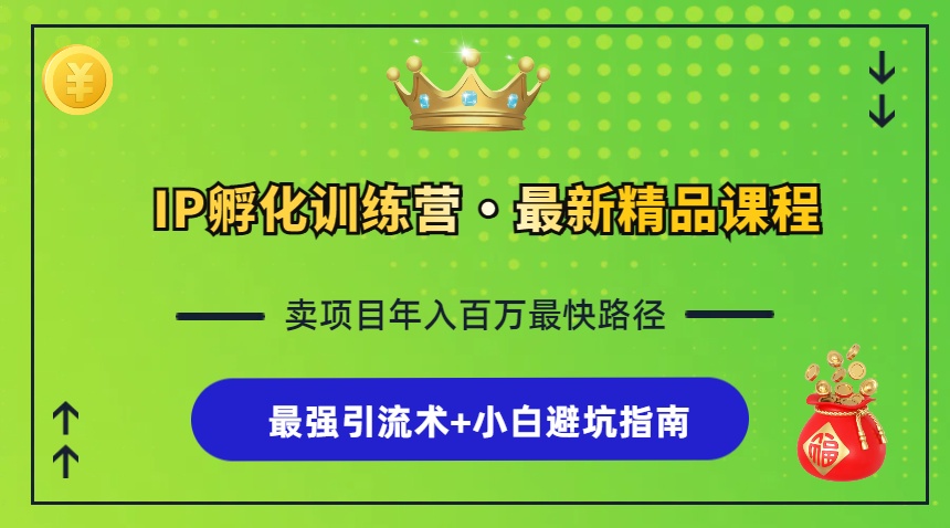 IP孵化训练营，知识付费全流程+最强引流术+小白避坑指南-情久项目网