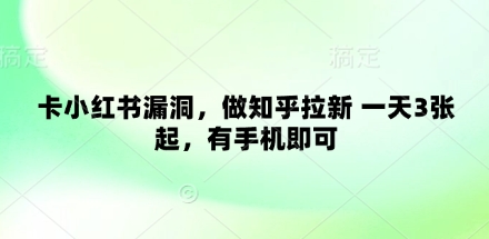 卡小红书漏洞，做知乎拉新 一天3张起，有手机即可-情久项目网